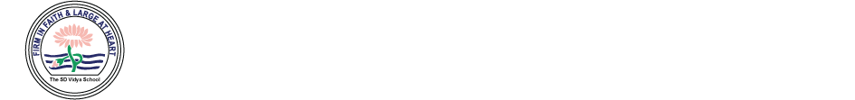 SD Vidya Schools