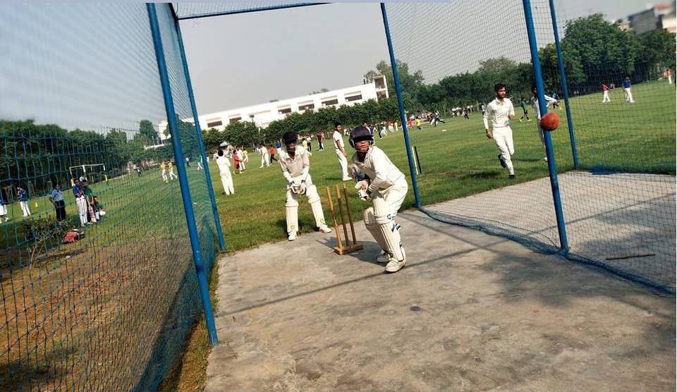 Cricket