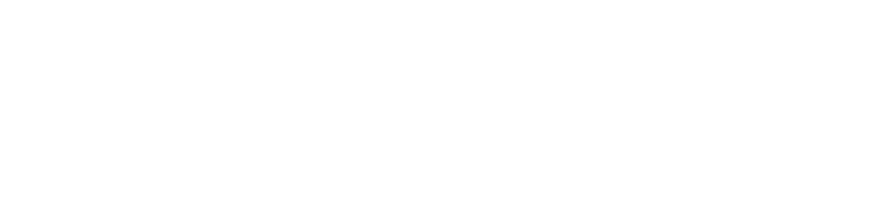SD Vidya Schools